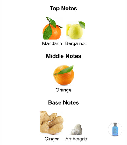 Maison Alhambra Jean Lowe Azure