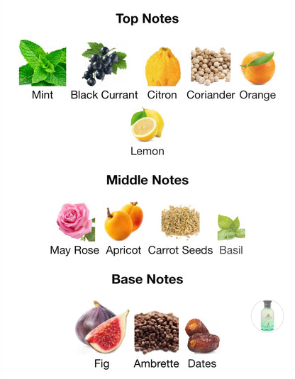 Maison Alhambra Jean Lowe Vibe