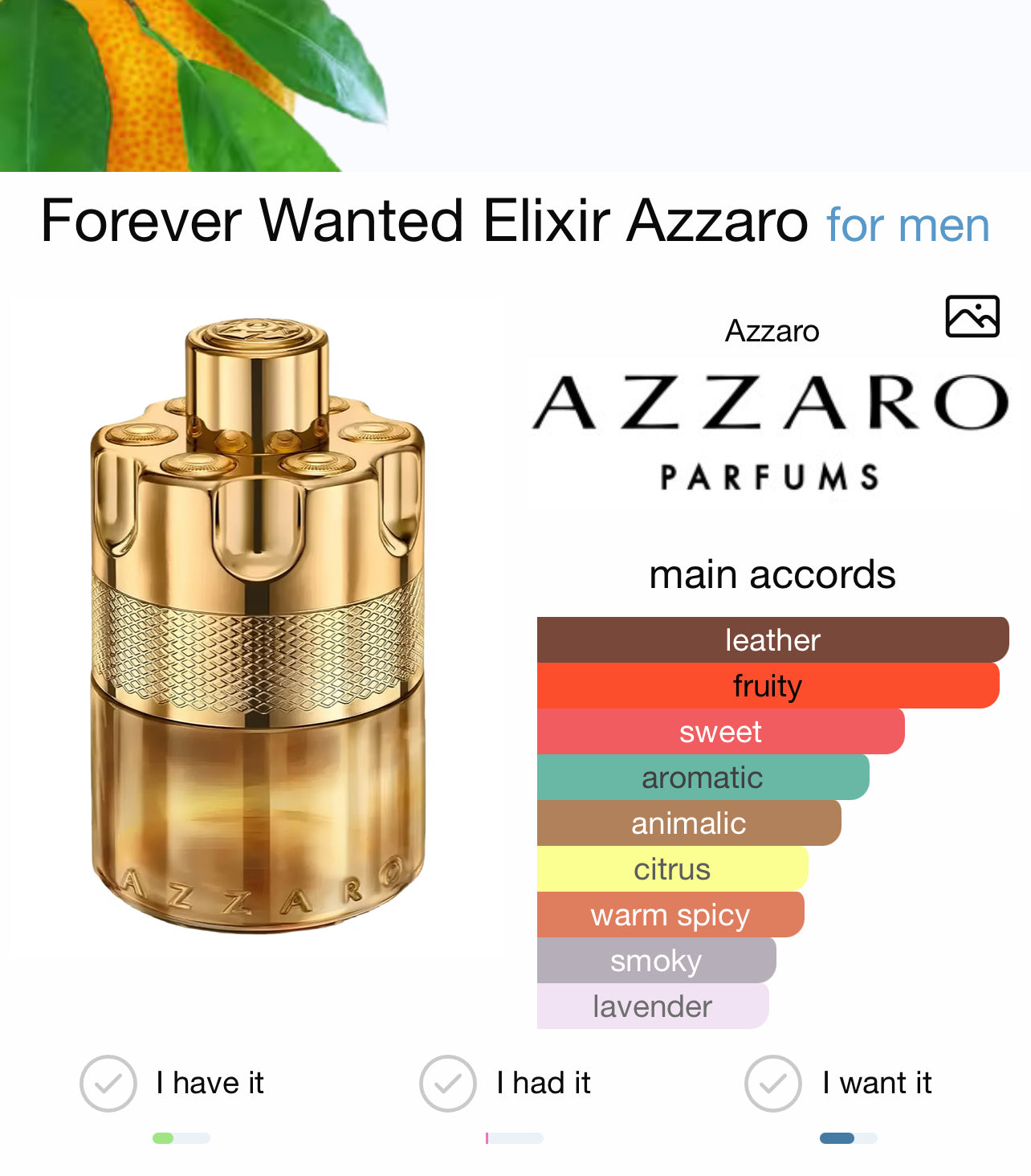 Azzaro Forever Wanted Elixir