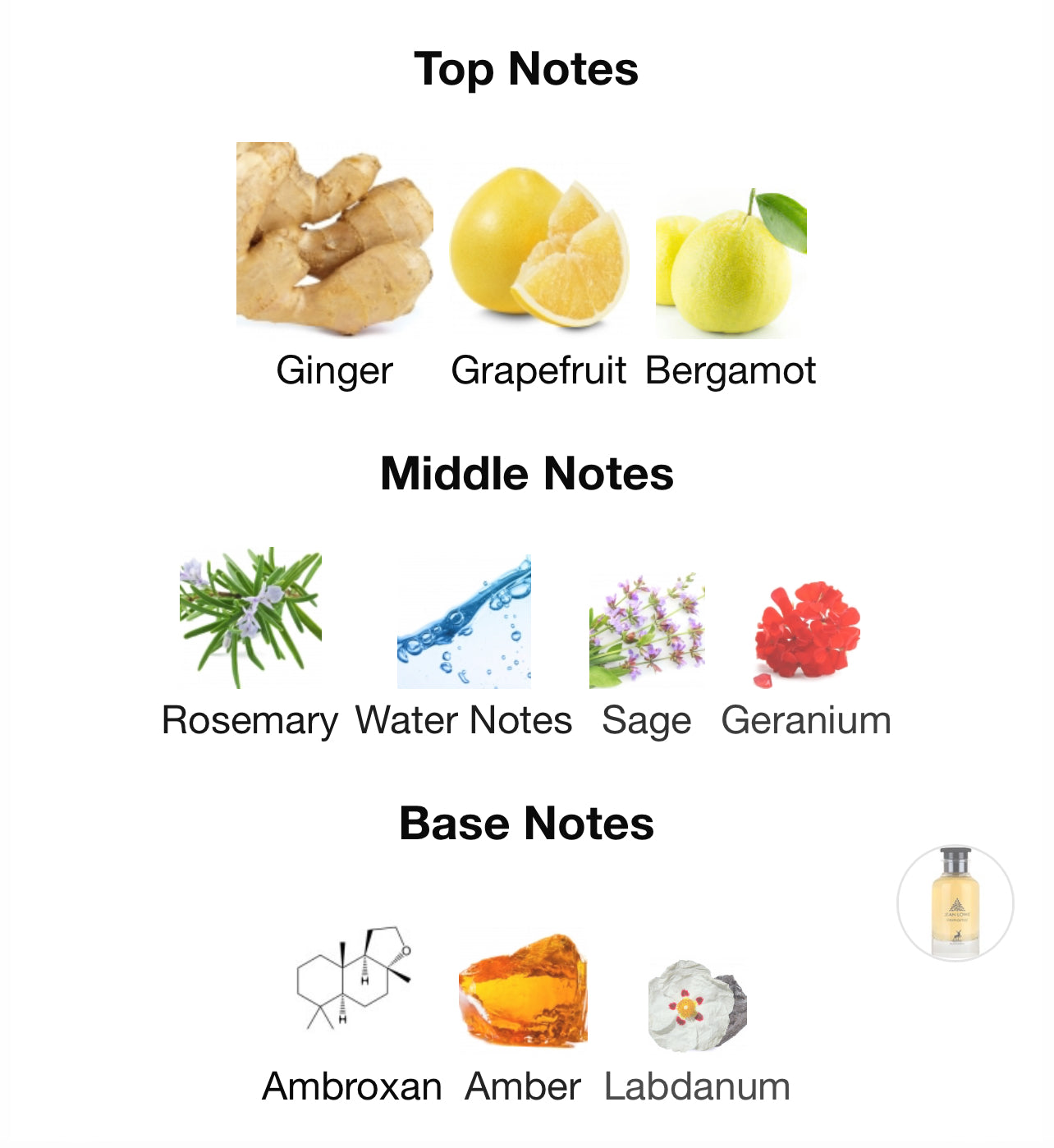 Maison Alhambra Jean Lowe Immortal