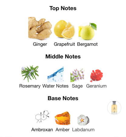 Maison Alhambra Jean Lowe Immortal