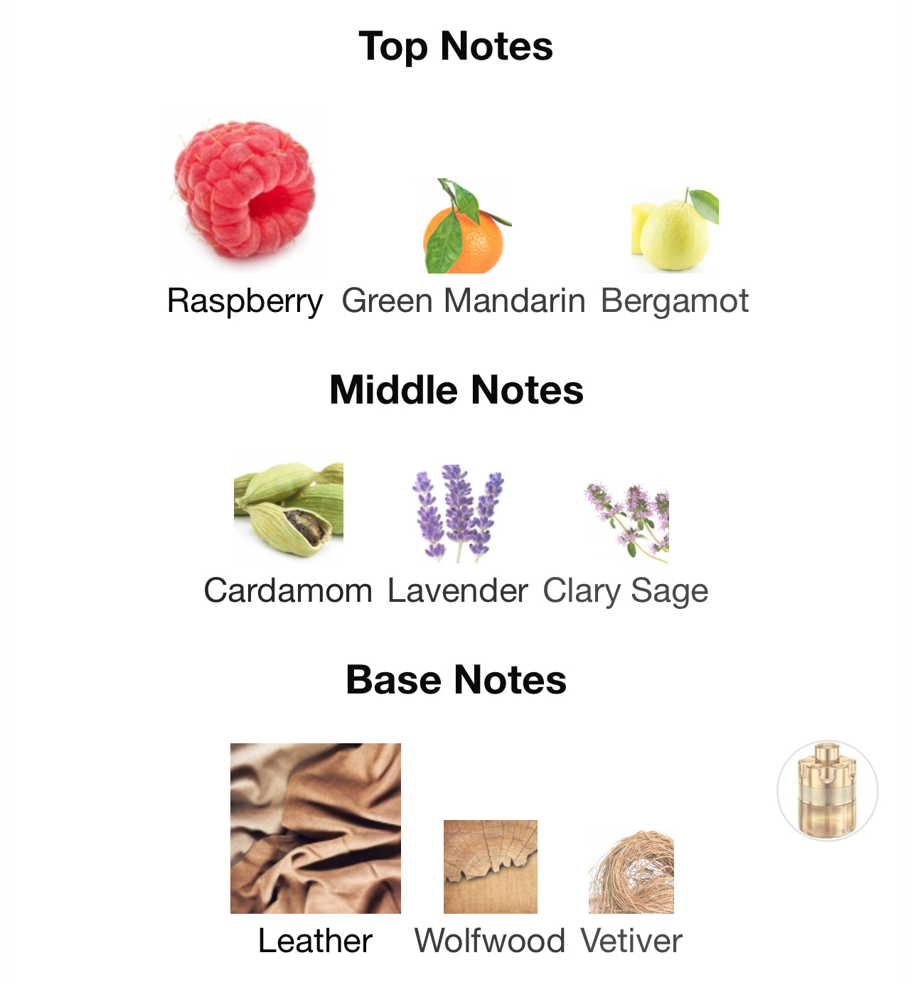 Azzaro Forever Wanted Elixir